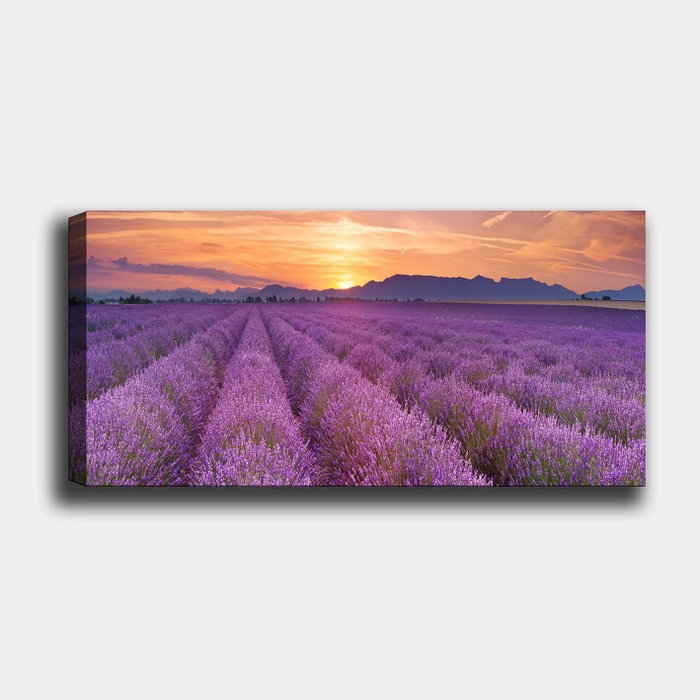Wallity Lienzo Decorativo Multicolor 50 x 120 cm